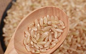 有机糙米怎么做好吃 有机糙米的食用方法大全
