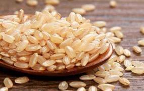 有机糙米的功效与作用 吃有机糙米的好处