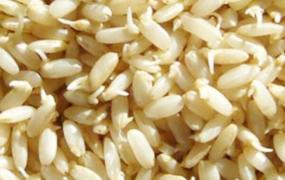 糙米芽的功效与作用