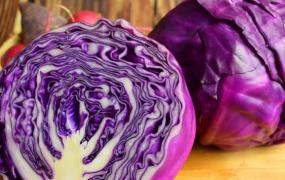 紫色包心菜的功效与作用 吃紫色包心菜的好处有哪些