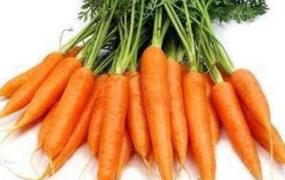胡萝卜怎么做好吃 儿童爱吃胡萝卜的做法