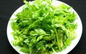 芹菜叶的吃法有哪些 芹菜叶子简易做法大全