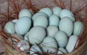 鸡蛋和乌鸡蛋的区别营养 吃鸡蛋的好处