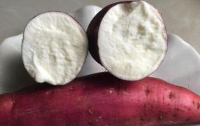 白心红薯的功效与作用 吃白心红薯的好处