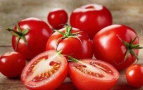 吃西红柿的好处和坏处 西红柿的食疗作用