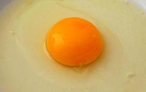 鸡蛋黄油的功效与作用及食用方法