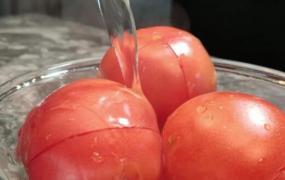 西红柿如何去皮 番茄怎么去皮