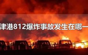 天津港812爆炸事故发生在哪一年