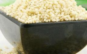 高粱米如何做好吃 高粱米的做法步骤
