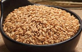 燕麦是碱性食品吗 吃燕麦的好处有哪些