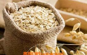 野燕麦的功效与作用 吃野燕麦的好处