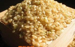 糙米怎么吃 糙米的吃法技巧