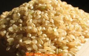 糙米的功效与作用及营养价值