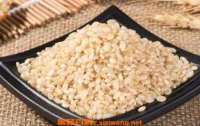 糙米怎么吃 糙米的食用方法