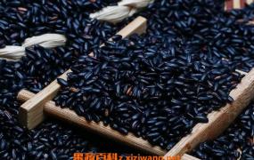 黑香米的功效与作用 黑香米的营养价值