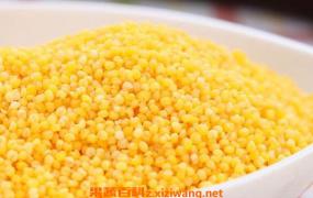 粟米与黍米的区别 粟米的功效