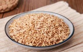 滑燕麦米和燕麦米的区别 燕麦米的功效与作用