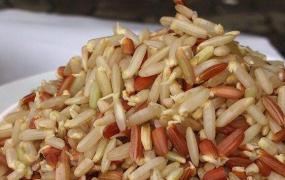 发芽糙米的功效与作用 吃发芽糙米的好处有哪些