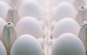 长期空腹吃鸡蛋的危害,早上长期吃鸡蛋的危害有哪些？