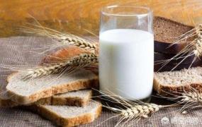 牛奶营养,纯牛奶和酸牛奶哪个更有营养？