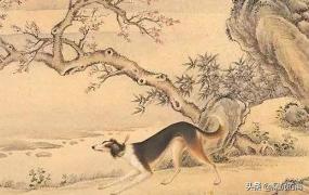 黄咏雪,《中国诗词大会》第七场中，蒙曼老师提到“黄狗”。有出处吗？