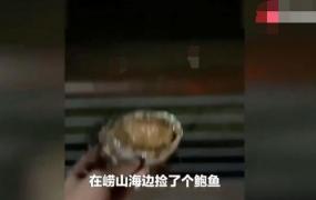 游客被索要道具费新闻,青岛游客被指翻墙去捡的鲍鱼，被索要五百，当地：要钱也不是不合理