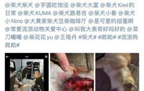 广州拔狗牙齿,广州警方回应“柴犬遭一男子铁钳拔牙虐待致死”：已介入调查
