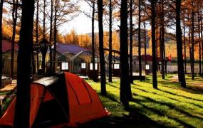 野外帐篷,野外露营帐篷选什么材质的好？