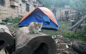 野外帐篷,在野外住帐篷是什么感觉？
