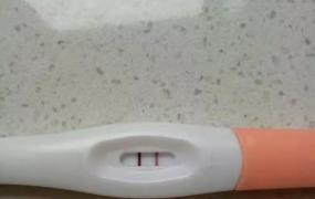 早孕试纸和验孕棒哪个更准确,早孕试纸测试怀孕的结果准吗？