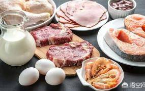什么是优质蛋白,哪些食物的蛋白质最优质？
