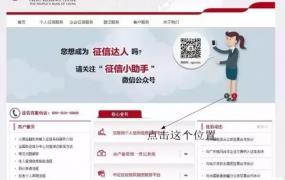 中国人民银行征信中心个人信用信息服务平台,中国人民银行征信查询教程