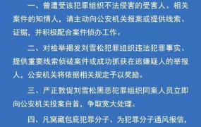 保定深度国际公馆,石家庄警方打掉保定刘雪松为首黑恶犯罪组织，抓获犯罪嫌疑人34名