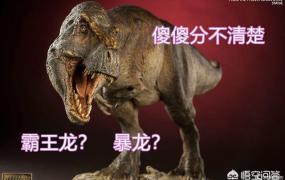霸王龙和其他食肉恐龙,霸王龙和暴龙是同一种吗？