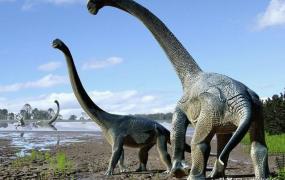 霸王龙和其他食肉恐龙,霸王龙和南方巨兽龙谁更强？