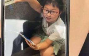杭州9岁女孩失踪,杭州许某某的作案过程谁来推敲一次？