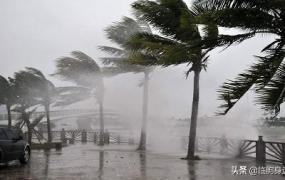 台风最新动向,遭遇台风的紧急处理措施有哪些？