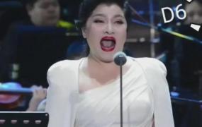 贾世骏,当代中国歌唱家中，谁的表情最夸张？