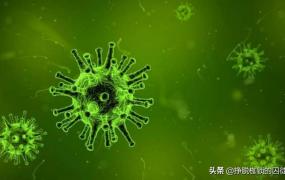 中国可预防可治疗的新冠疫苗,新型冠状病毒可以治好吗？