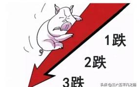 什么导致猪价下跌,猪肉价格“滑梯”下跌，还有3大因素致猪价下跌，15元肉价有戏