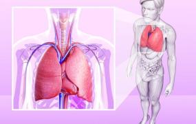 外推容积在肺功能检查,自己怎样检测自己的肺功能？