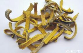 黄芩功效,黄芩的功效与作用是什么？