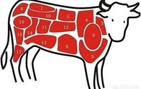 烤牛肉用什么部位,牛肉的哪个部位适合烤着吃？