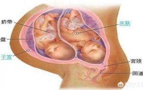 分娩前兆有哪些症状,怀孕快生了有什么征兆呢？