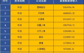 七大保险公司排名,中国七大保险集团排名是怎样的？