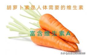 胡萝卜的功效,吃红萝卜对身体有哪些好处？