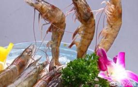 虾的营养价值,河虾与海虾哪个营养价值高？