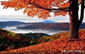 关于秋天的画,怎样画秋季的风景并配上文字？