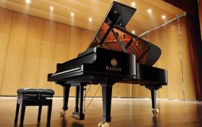 古筝钢琴哪个前景更好,学习什么乐器发展前景好？