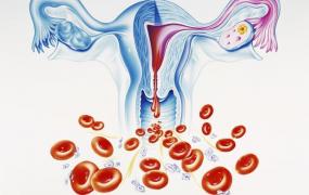 卵巢早衰有什么现象,卵巢功能下降会发出哪些信号呢？